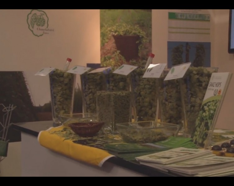 Hopfenproben auf der Brau Beviale.