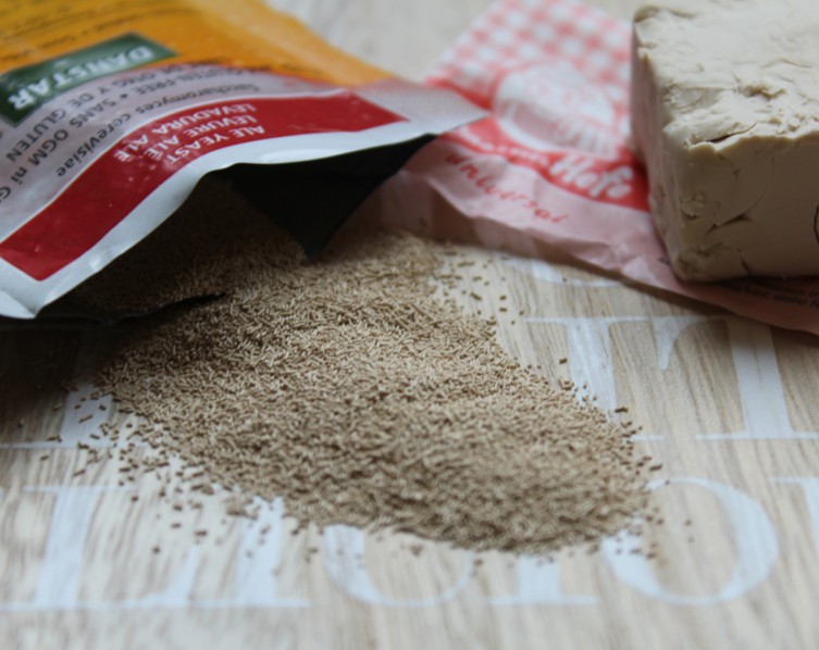 trockene Bierhefe und frische Backhefe (Bild: Karoline Grimm).