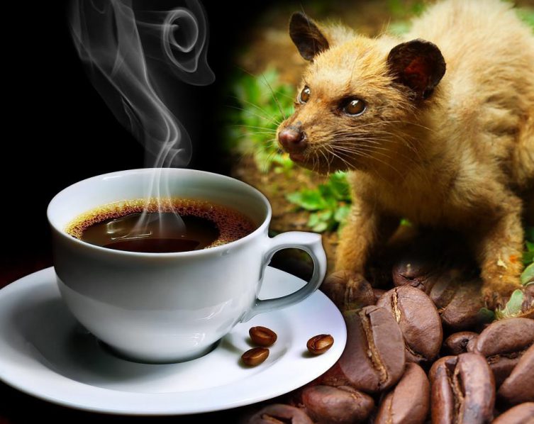 Quelle: DocumentaryTube