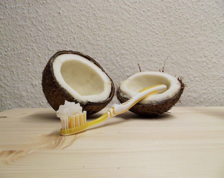 Zu sehen ist eine geteilte Kokosnuss mit einer Zahnbürste. Foto: Jil Weber