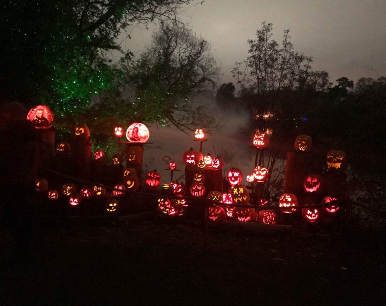 Kürbisausstellung im Nebel. Happy Halloween!