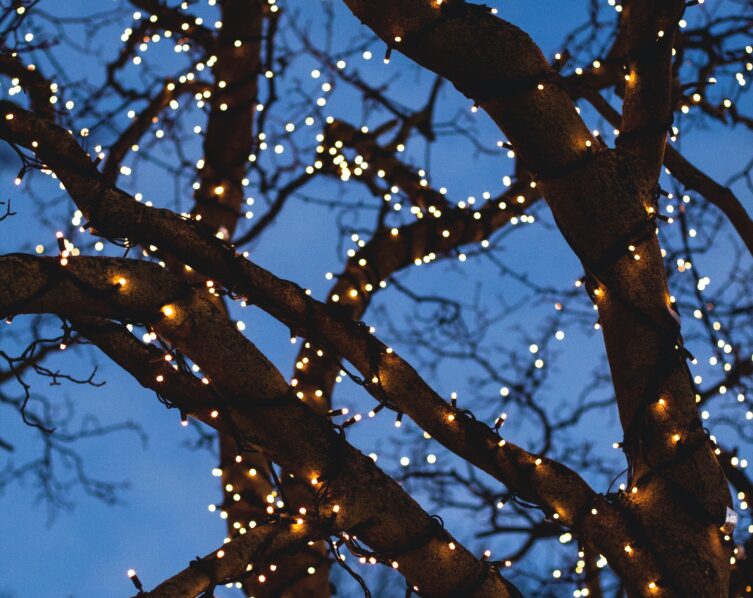 Baum mit Lichterkette