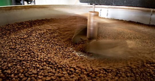 Foto: Graciela Zavala / Rainforest Alliance